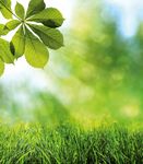 Der Partner f&uuml;r meine Gesundheit! - Bew&auml;hrte Vitamine, Mineralstoffe, Arznei- und Nahrungserg&auml;nzungsmittel, Medizinprodukte, Kosmetika - ascopharm ...