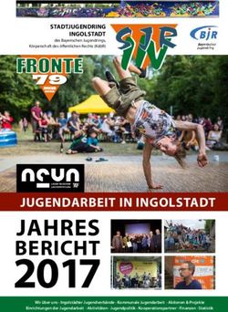 2017 JAHRES JUGENDARBEIT IN INGOLSTADT - Stadtjugendring Ingolstadt
