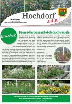 Baumscheiben sind &ouml;kologische Inseln - Nr. 20 27. Jahrgang Freitag, den 21. Mai 2021 - Stadt Freiburg