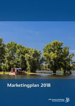 Marketingplan 2018 - TMB Intern