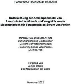 Untersuchung der Antik&ouml;rperkinetik von