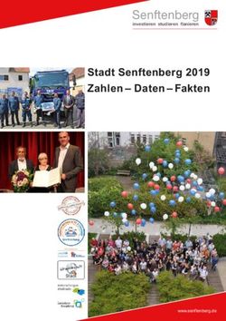 Senftenberg Stadt Senftenberg 2019 Zahlen - Daten - Fakten - investieren studieren flanieren