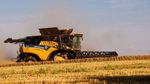 Hersteller, Händler und Landwirte erfreuen sich an Getreidepreisrally - Technik Talk 12. Mai 2021