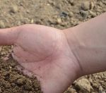 Ackerbaustrategie der deutschen Landwirtschaft - Zentralausschuss der Deutschen Landwirtschaft
