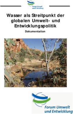 Wasser als Streitpunkt der globalen Umwelt- und Entwicklungspolitik - Dokumentation