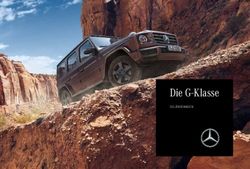 Die G-Klasse GEL&Auml;NDEWAGEN - Taunus-Auto