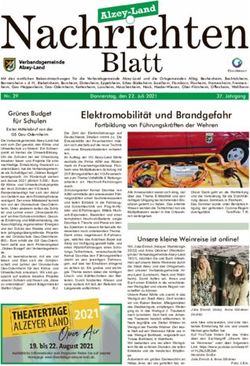 Elektromobilität und Brandgefahr - Verbandsgemeinde Alzey-Land