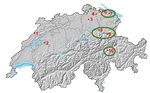 Wird es Eschen in der Zukunft noch geben? - Schweizer Wald