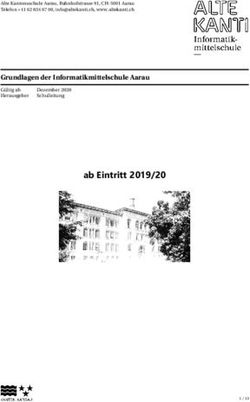 Ab Eintritt 2019/20 Grundlagen der Informatikmittelschule Aarau