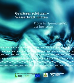 Gewässer schützen - Wasserkraft nützen - Flüsse im Spannungsfeld der Interessen - Umweltdachverband