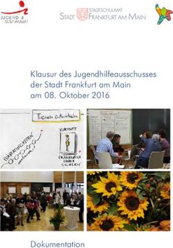 Klausur des Jugendhilfeausschusses der Stadt Frankfurt am Main am 08. Oktober 2016 Dokumentation