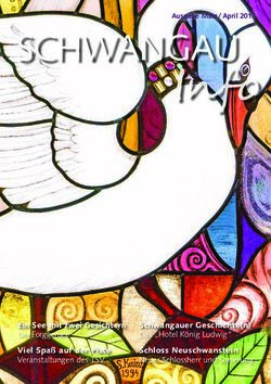 SCHWANGAU - Ein See mit zwei Gesichtern Der Forggensee Schwangauer Geschichte(n) Das "Hotel König Ludwig"