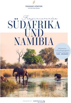 S&Uuml;DAFRIKA UND NAMIBIA - Kreuzfahrt Initiative