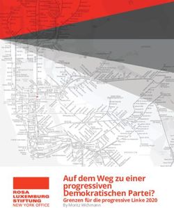 Auf dem Weg zu einer progressiven Demokratischen Partei? - Grenzen für die progressive Linke 2020 By Moritz Wichmann