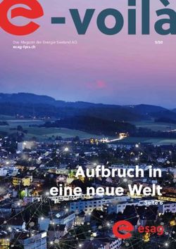Aufbruch in eine neue Welt - 5/20 Das Magazin der Energie Seeland AG