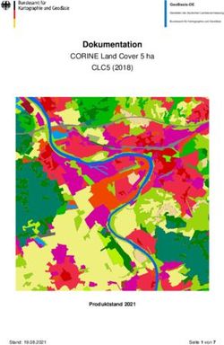 Dokumentation CLC5 (2018) - CORINE Land Cover 5 ha - CORINE Land Cover 5 ha CLC5 (2018)