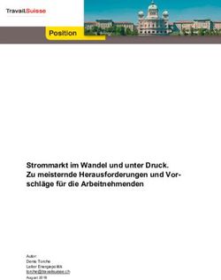 Strommarkt im Wandel und unter Druck. Zu meisternde Herausforderungen und Vor-schl&auml;ge f&uuml;r die Arbeitnehmenden