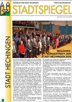 NEUJAHRS-B&Uuml;RGERTREFF DER STADT HECHINGEN 2020