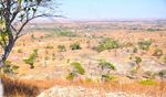 SAFARI-TAUCHEN - African Greenland