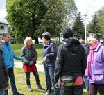 1985-2020 Eine Chronik - Eltern beraten Eltern