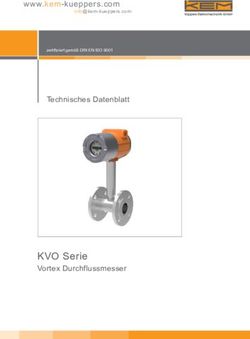 KVO Serie Vortex Durchflussmesser - www.kem-kueppers.com - Bibus