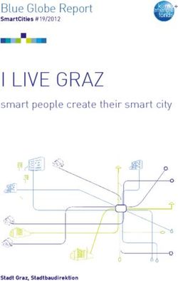I LIVE GRAZ smart people create their smart city - Blue Globe Report