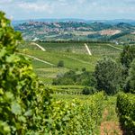 PIEMONT - MONFERRATO & ROERO TRÜFFEL, WEIN UND GESCHICHTE - Wandern und Wein in Italien