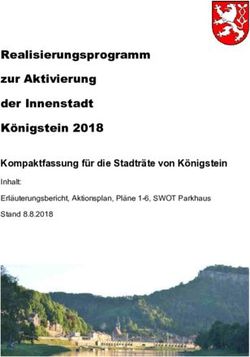 Realisierungsprogramm zur Aktivierung der Innenstadt Königstein 2018 - Kompaktfassung für die Stadträte von Königstein - Königstein ...