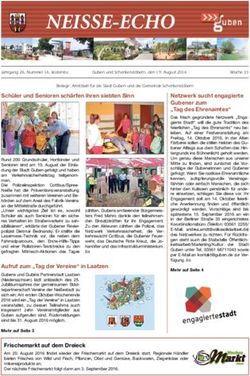 NEISSE-ECHO - Stadt Guben