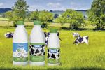1/2021 Fachmagazin f&uuml;r Handel und Industrie - Milch News