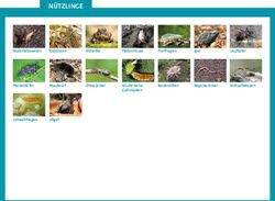 N&Uuml;TZLINGE - Gr&uuml;ne Liga Berlin