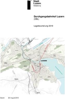 AB Stadt Luzern Durchgangsbahnhof Luzern - (DBL) Lagebeurteilung 2019