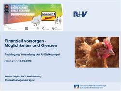 Finanziell vorsorgen - M&ouml;glichkeiten und Grenzen - Fachtagung Vorstellung der AI-Risikoampel Hannover, 19.06.2018 - M&ouml;glichkeiten und Grenzen