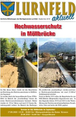Hochwasserschutz in M&ouml;llbr&uuml;cke - Gemeinde Lurnfeld