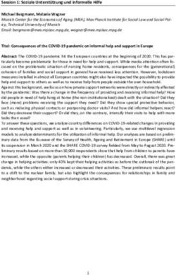 Session 1: Soziale Unterst&uuml;tzung und informelle Hilfe Michael Bergmann, Melanie Wagner
