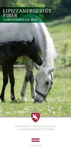 LIPIZZANERGEST&Uuml;T PIBER - JAHRES&Uuml;BERBLICK 2018 - SPANISCHE HOFREITSCHULE LIPIZZANERGEST&Uuml;T PIBER