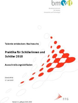 Praktika für Schülerinnen und Schüler 2018 - Talente entdecken: Nachwuchs Ausschreibungsleitfaden - FFG