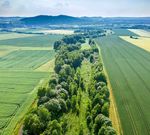 BUND MAGAZIN - WAS LEBT DENN DA? 03 19 - Bund f&uuml;r Umwelt und Naturschutz ...