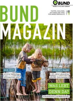 BUND MAGAZIN - WAS LEBT DENN DA? 03 19 - Bund für Umwelt und Naturschutz ...