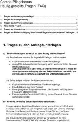 Fragen zu den Antragsunterlagen - Schwan ...