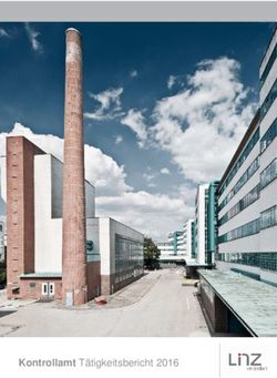 Kontrollamt T&auml;tigkeitsbericht 2016 - Stadt Linz