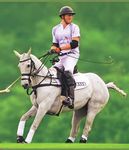 DIESE WOCHE IN - Polo Club Donaueschingen