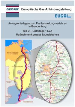 Teil D - Unterlage 11.2.1 Maßnahmenkonzept Zauneidechse - Antragsunterlagen zum Planfeststellungsverfahren in Brandenburg - LBGR
