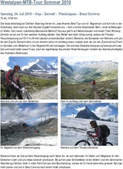Westalpen-MTB-Tour Sommer 2010 - Samstag, 24. Juli 2010 - Visp - Zermatt - Theodulpass - Breul Cervinia - Klemens Bont