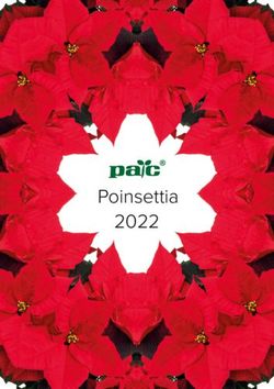 Poinsettia 2022 - Elsner PAC