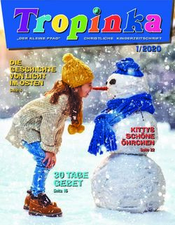 30 TAGE GEBET 1/2020 - Licht im Osten