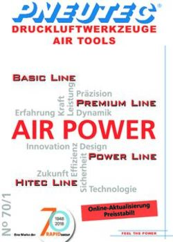 DRUCKLUFTWERKZEUGE AIR TOOLS - REINERT