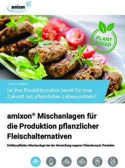 Amixon Mischanlagen für die Produktion pflanzlicher Fleischalternativen