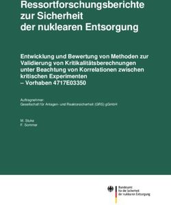 Ressortforschungsberichte zur Sicherheit der nuklearen Entsorgung