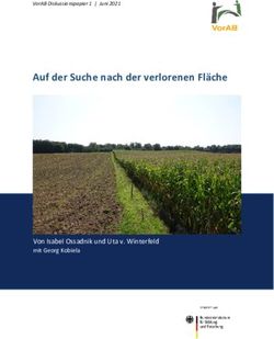 Auf der Suche nach der verlorenen Fläche - Von Isabel Ossadnik und Uta v. Winterfeld - VorAB